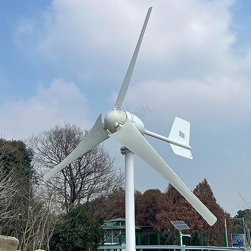 2000W Windkraftanlage 12V 24V 48V horizontaler Windgenerator mit Hybrid MPPT Laderegler Windturbine für Home Windmühle (12V mit Hybrid Regler) : Gewerbe, Industrie &amp; Wissenschaft